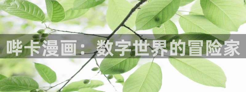 终结的炽天使漫画包子漫画